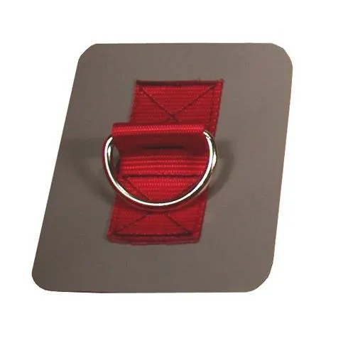 2" D-Ring Anchor