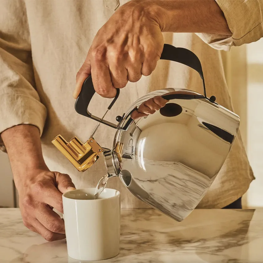 Alessi | 9091 Induction Kettle With Whistle