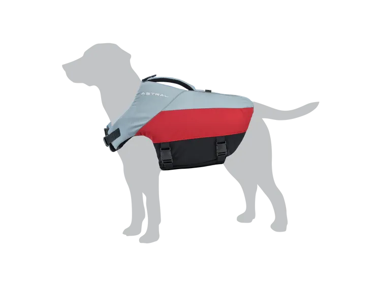 BirdDog