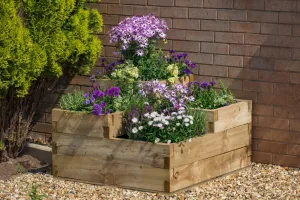 Forest Garden Caledonian Tiered Raised Bed