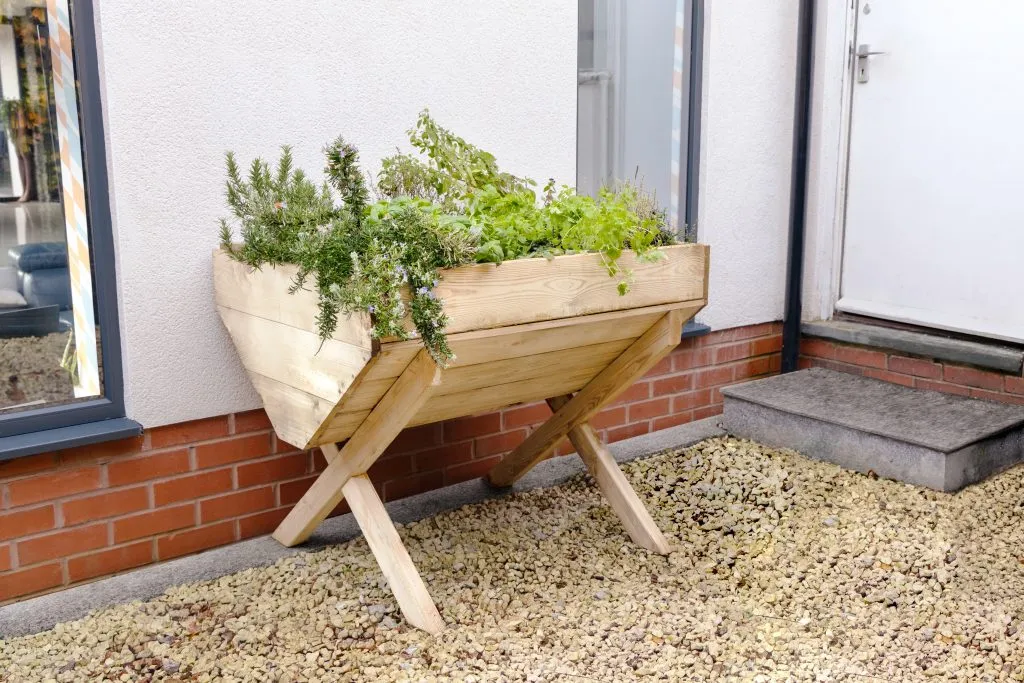 Forest Garden Kitchen Garden Trough