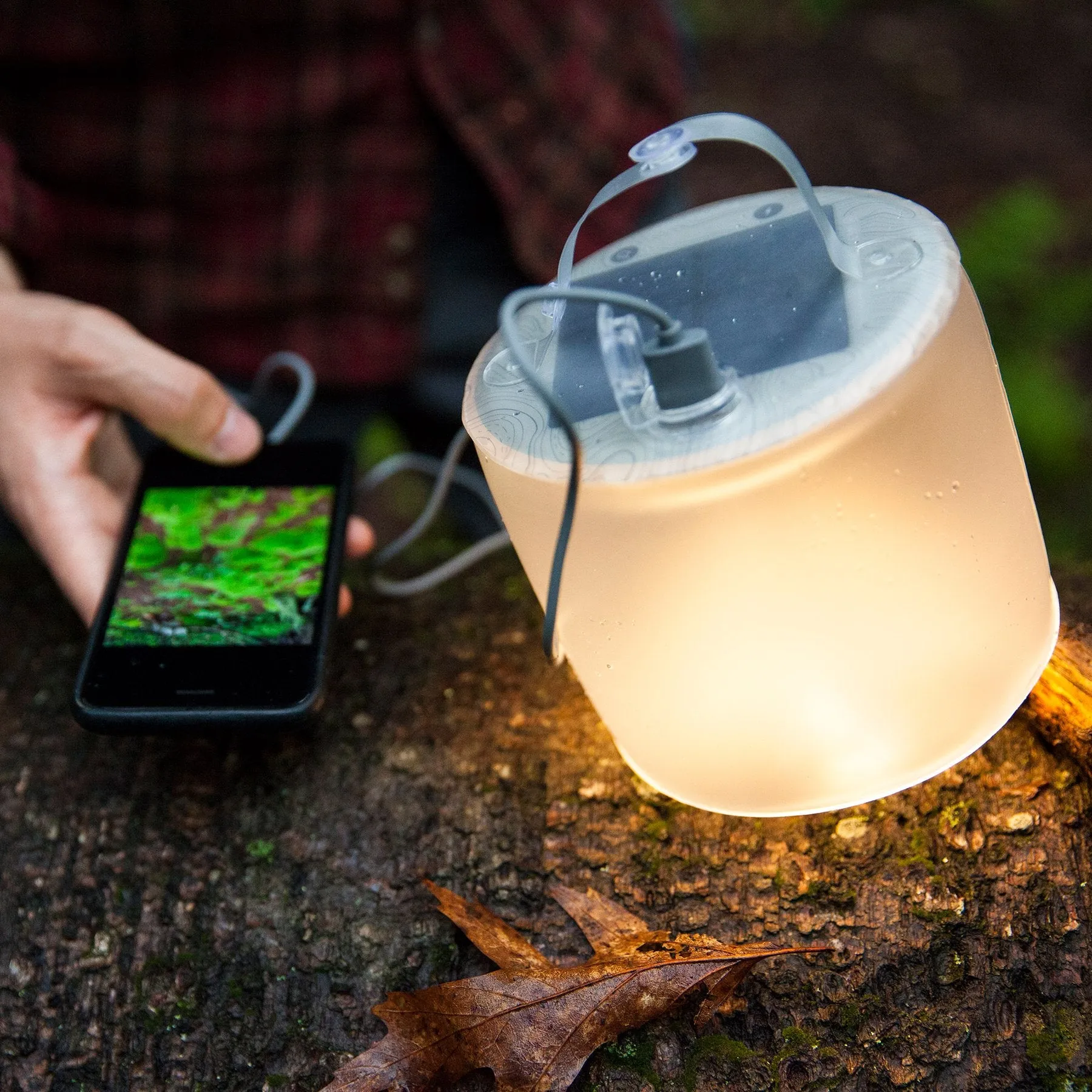 Luci Lux PRO