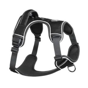 Mesa Harness