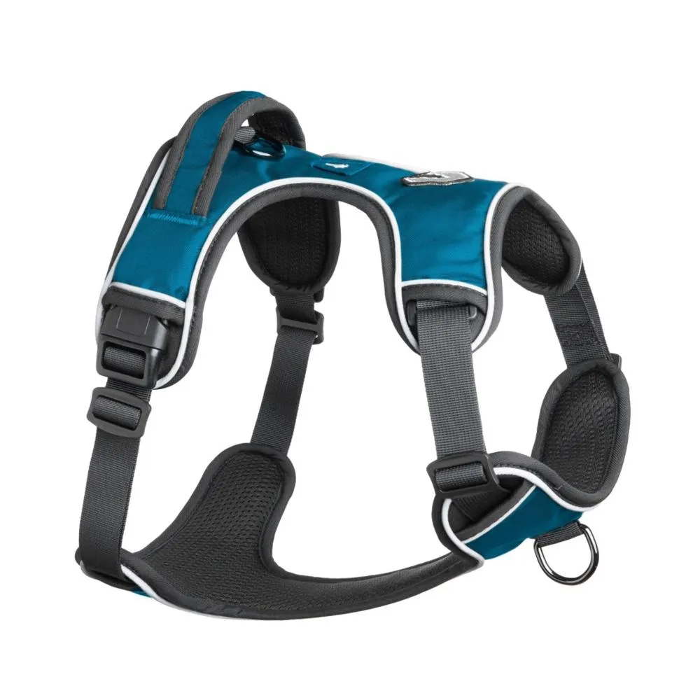 Mesa Harness