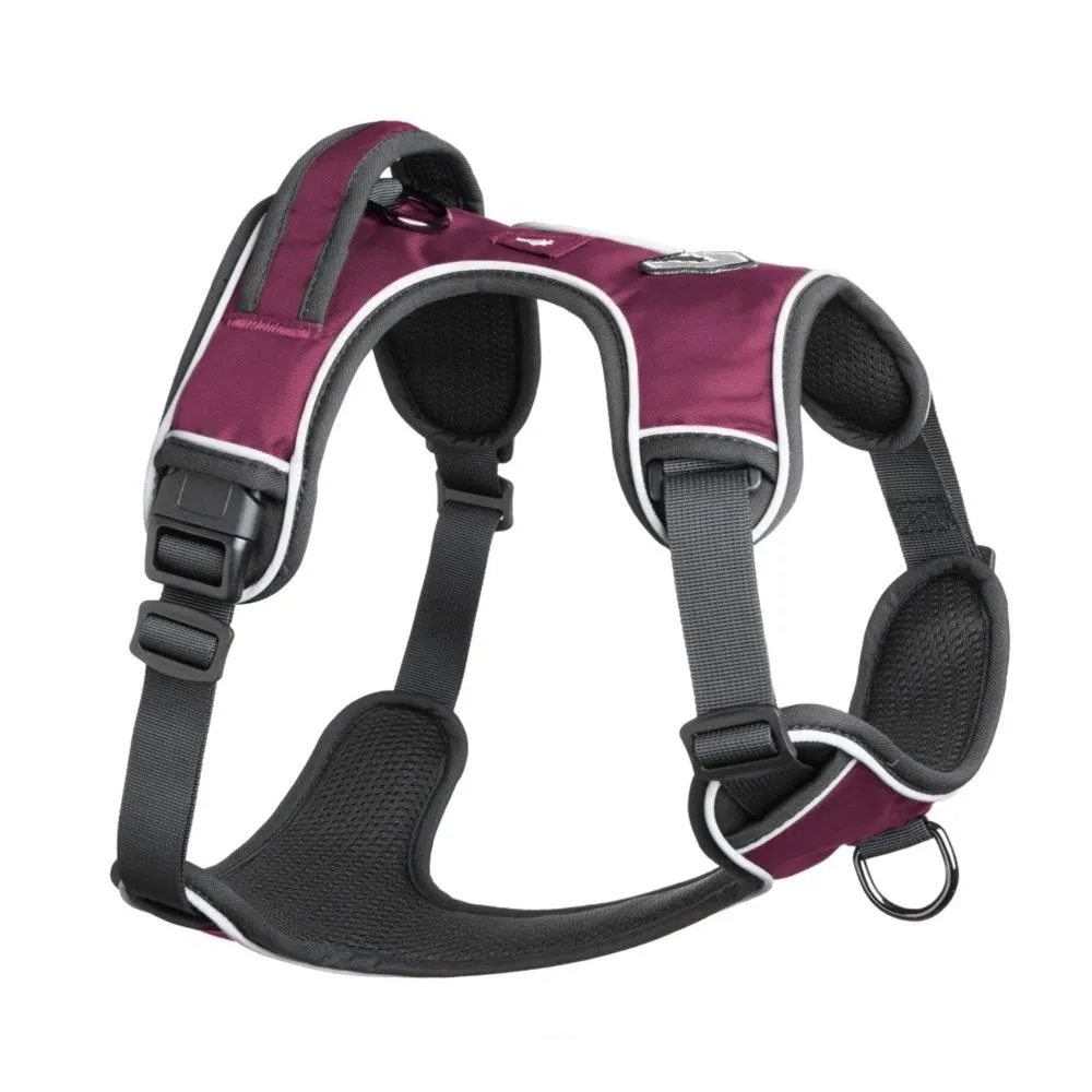Mesa Harness