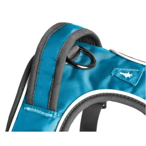 Mesa Harness
