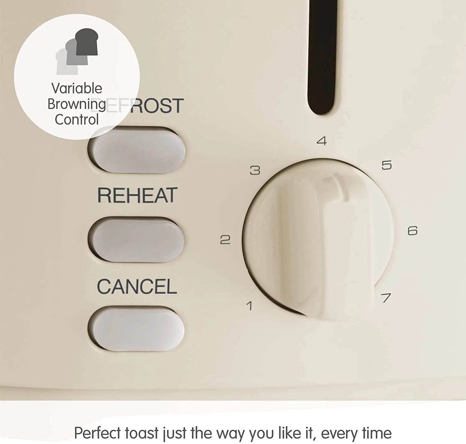 Morphy Richards Equip 2 Slice Cream Toaster | 222065