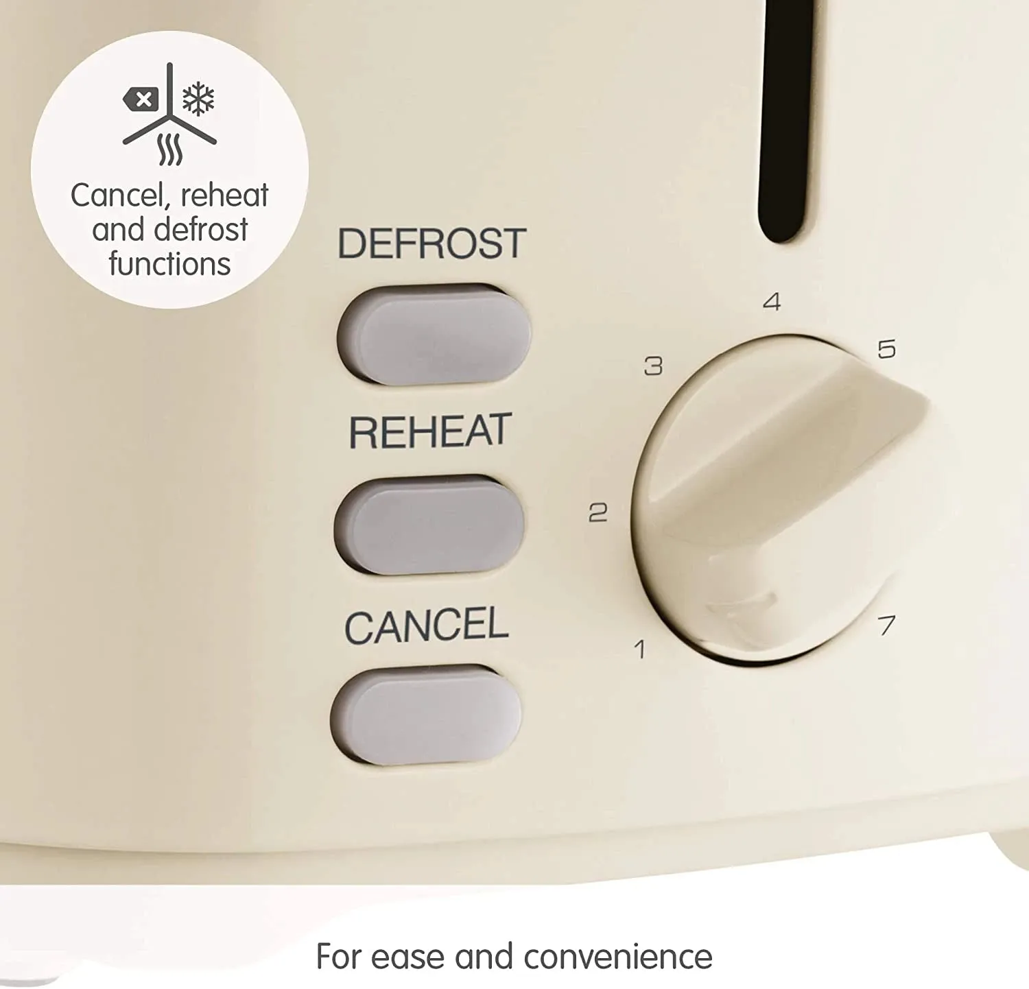 Morphy Richards Equip 2 Slice Cream Toaster | 222065