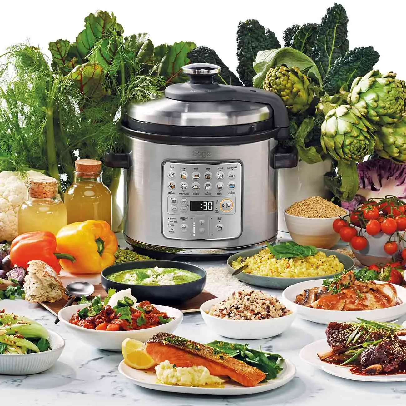 Sage The Fast Slow Go Multi Cooker Brushed Stainless Steel | SPR680BSS2GUK1