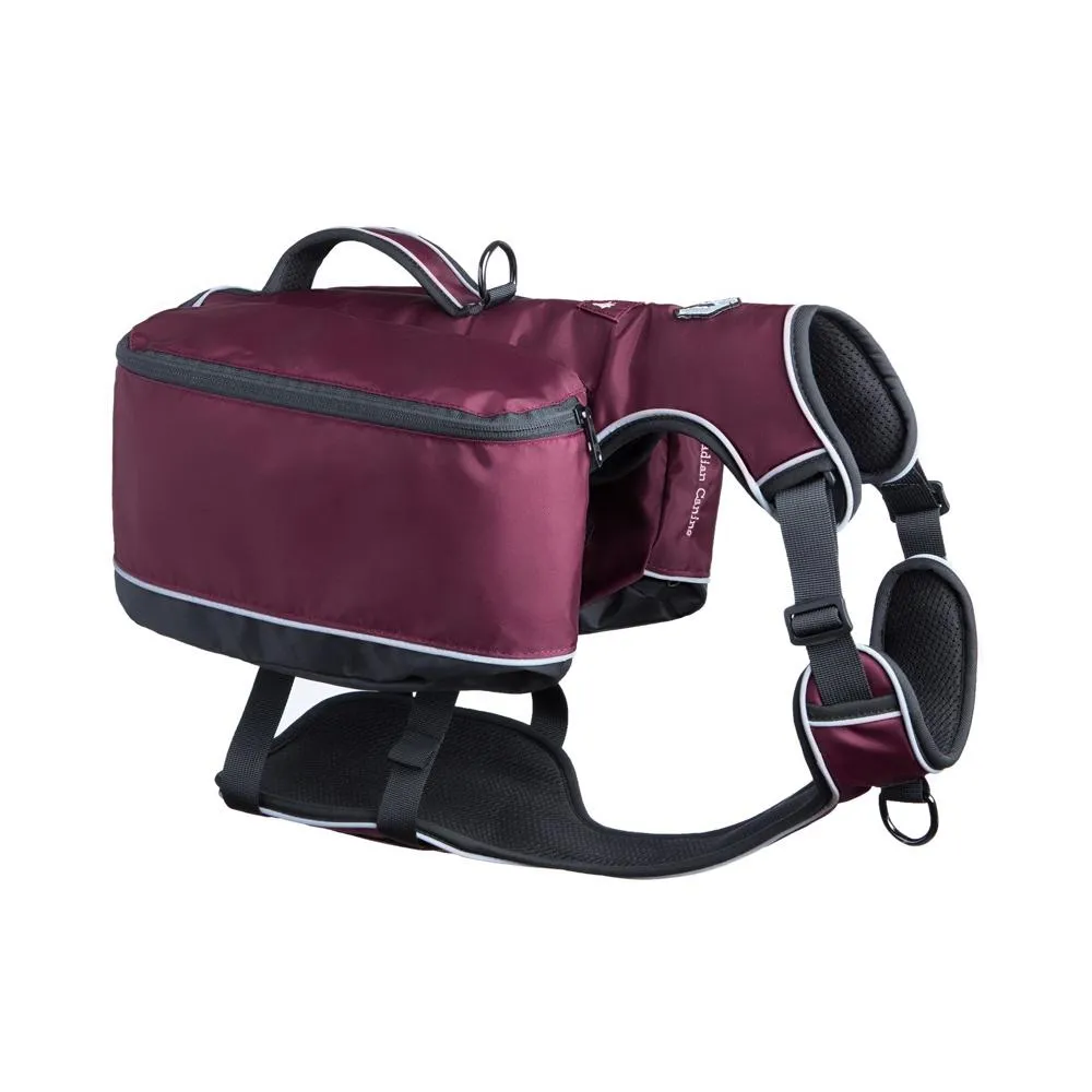 Traverse Day Pack